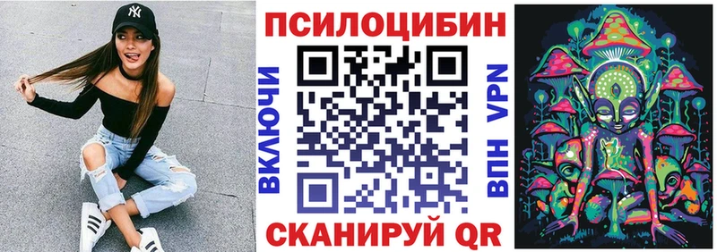 Псилоцибиновые грибы Psilocybine cubensis  mega как войти  Горячий Ключ 