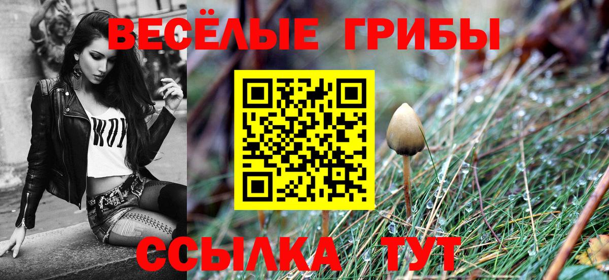 Псилоцибиновые грибы GOLDEN TEACHER  Горячий Ключ  Галлюциногенные грибы MAGIC MUSHROOMS 