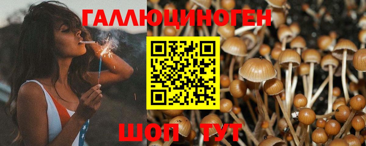 наркотики  Псилоцибиновые грибы Psilocybe  Вход с VPN  Горячий Ключ  Галлюциногенные грибы ЛСД 